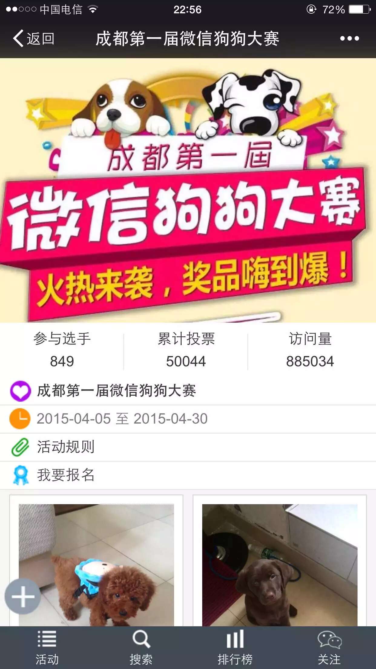 成都第一届微信狗狗大赛活动页面：849只参赛、5万票、88万访问量